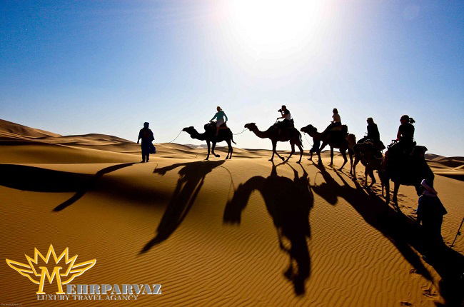 سافاری با شتر در دبی سفری یک روزه به تاریخ!