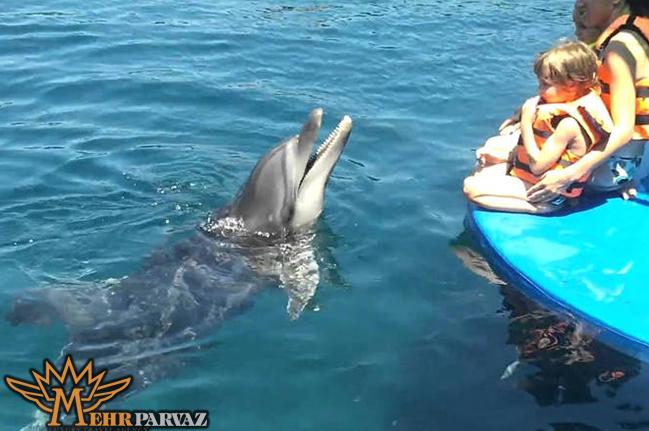 برنامه های تفریحی پارک دلفین های مارماریس