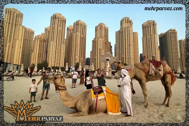 تفریح در سواحل دبی