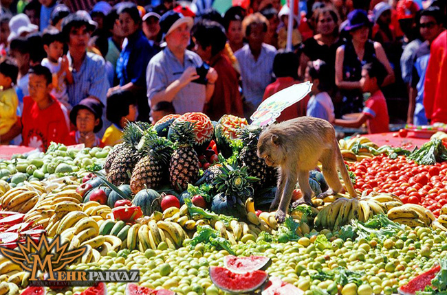 جشنواره میمون ها-تایلند،مهرپرواز