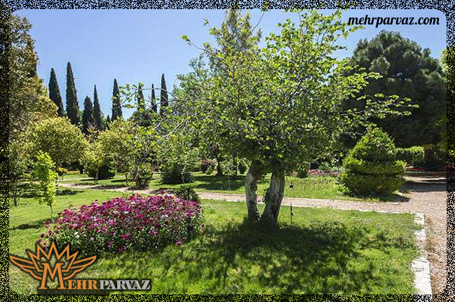 زیبایی های باغ ارم شیراز