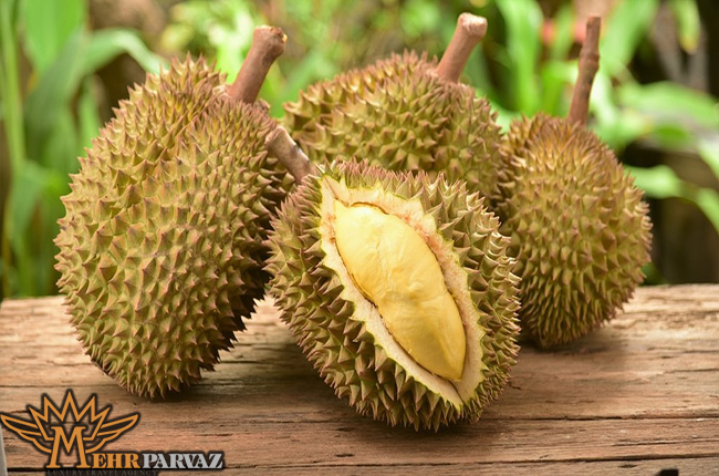  میوه دوریان Durian
