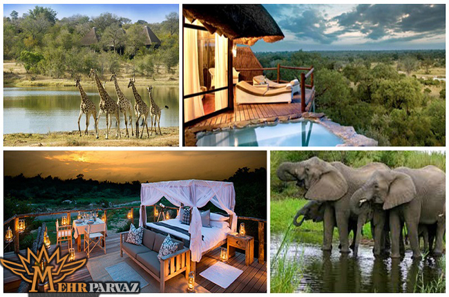 نما پارک های ملی و هتل های لوکس آفریقا 